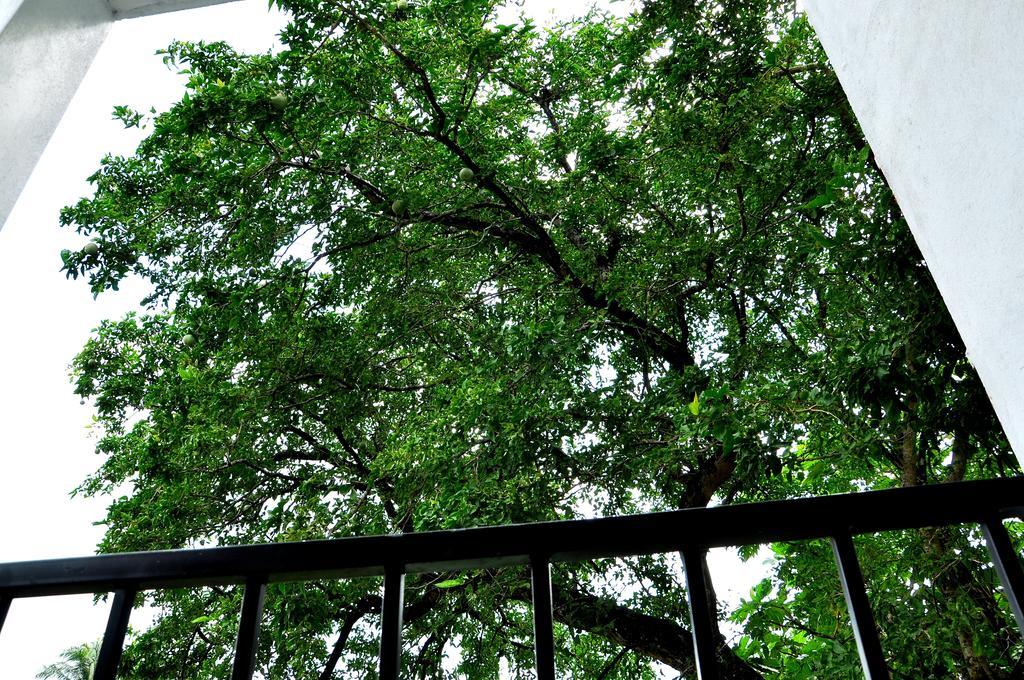 Oak Residencies Βίλα Kiribathgoda Εξωτερικό φωτογραφία